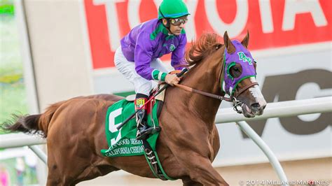 free past performances horse racing|Free Horse Racing Past Performances .